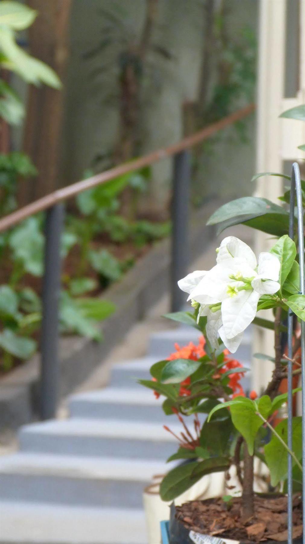 Olah Hostel - Vila Mariana São Paulo Ngoại thất bức ảnh